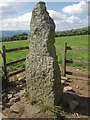 S6541 : Ogham Stone by kevin higgins