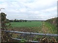 Field North of Leigh Lane, Willow Green