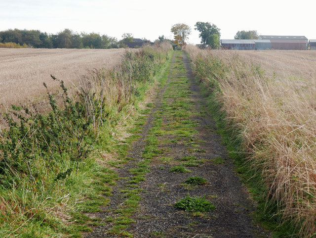 Public road from Old Cullicudden Graveyard