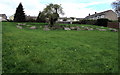 Boulders around a tree, St Dials, Cwmbran