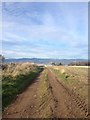 Cromarty Firth from Davidston