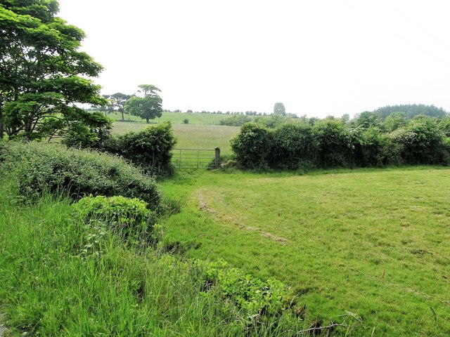 Farmland alongside the Dunmore Road © Eric Jones cc-by-sa/2.0 ...