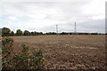 Farmland Between Mayland & Latchingdon