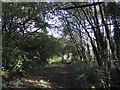 Route of the Glamorgan Canal near Abercynon