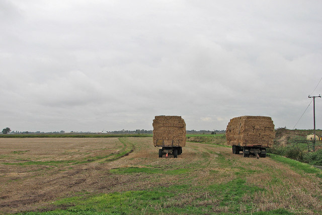 Bales and trailers on Blockmoor Fen