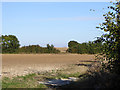 Field near Kiln Farm