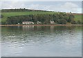 Houses on Shore Road beside the River Nith