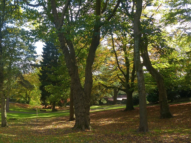 Autumn in Belle Vue Park, Newport