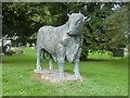 Bronze Bull at Builth Wells, Wales