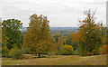 TQ4199 : Looking to Waltham Abbey from Big View, Honey Lane Quarters, Epping Forest by Roger Jones