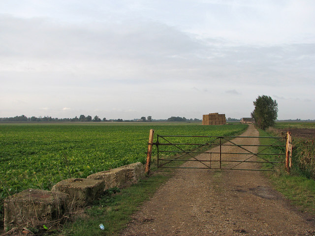 A farm track on Ewell Fen