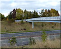 Footbridge across the A46