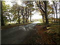 Minor road on edge of Maules Wood