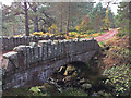 NO4393 : The Bridge of Glendui by John Allan