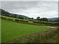 Pasture west of Glyndyfrdwy, Denbighshire