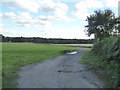 Track through the fields opposite Cameleon Lodge