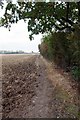 Footpath to Mayland Court