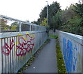 Footbridge across the Ivanhoe Line