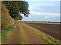 SE6704 : Track and Bridleway near Gate Farm by Jonathan Clitheroe