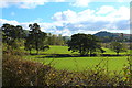 Farmland & Trees at Balminnoch