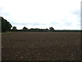 Flat farmland south of Darrow Green Road