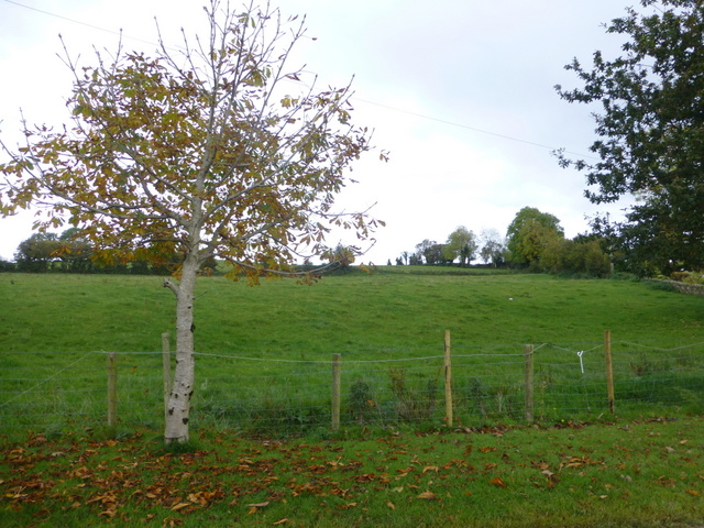 Magharenny Townland