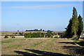 View north from Queenborough Road, Southminster