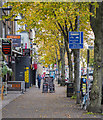 Botanic Avenue, Belfast