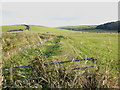 Fields in the River Menalhyl valley at Mawgan Porth