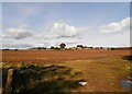 Farmland near Trinity