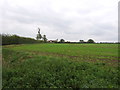 Crop field and hedgerow, Cratfield