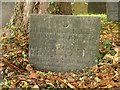 Belvoir Angel headstone, Bingham Churchyard