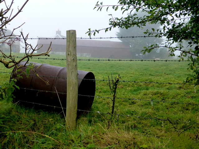 A rusty barrel, Gallan Lower