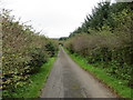 Lane to West Carswell Farm