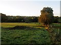 Footpath to Kettlesing Bottom