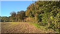 Wood below Hill Farm