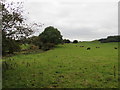 Trees on the left mark the Lord Carlisle