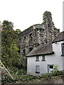 S7043 : Ruined Tinnahinch Castle by kevin higgins