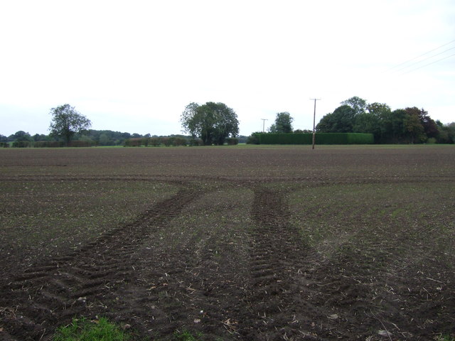 Field near Chickering Corner Farm
