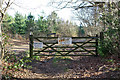 Gate, Hurst Wood