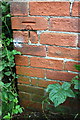 Benchmark on farm building beside Coddington Road