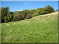 Start of a public footpath at West Blackdene