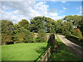 The bridge in Low Braithwaite