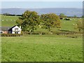 House, fields and sheep, Low Cotehill