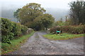 ST1892 : Lane to Twyn-gwyn Farm by M J Roscoe