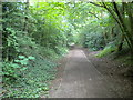 Railway walk north of Windmill Lane bridge