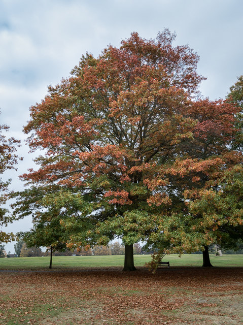 Autumn Colours Grovelands Park, London N21