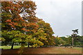 Autumn Colours Grovelands Park, London N21