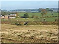 Field near Long Strumble Farm