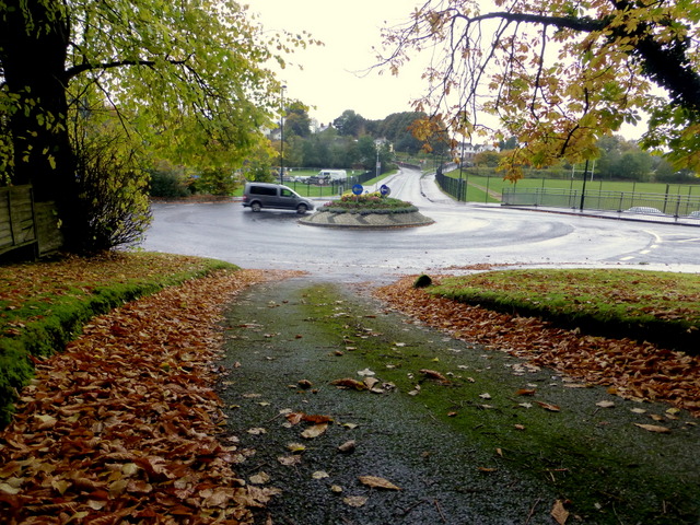 Fallen leaves along Crevenagh Road, Omagh